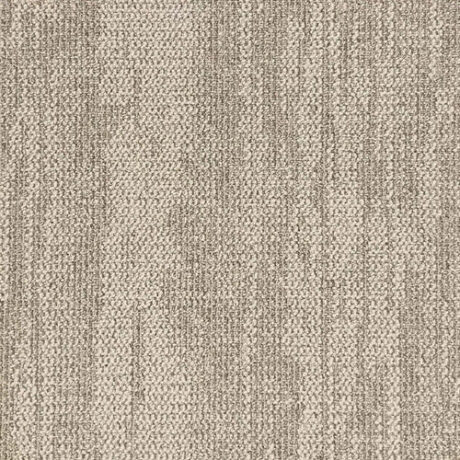 Fossil 004 - Vortex